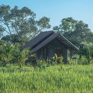 Farm Hotel