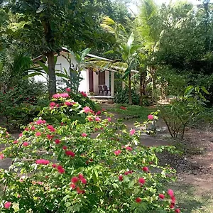Sanjana Guest house