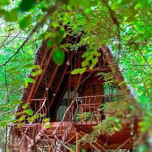 Tree House Ambasewana Resort