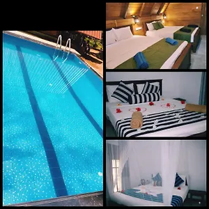 New Star Homestay